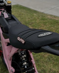 LBX / E-Ride Guts seatcover